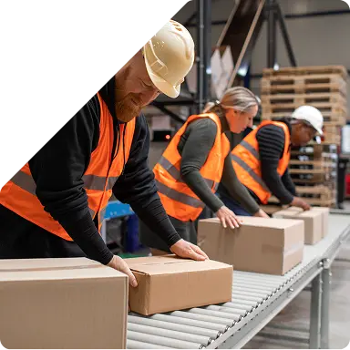 Branding & OEM/ODM Solutions